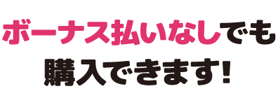 ボーナス払いなしでも購入できます！